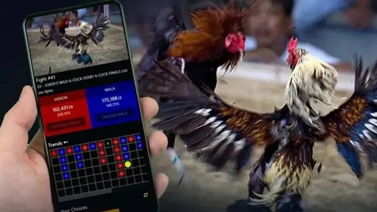 Đấu Trường Đá Gà 58Win Đỉnh Cao Cháy Hết Mình Cùng Đam Mê